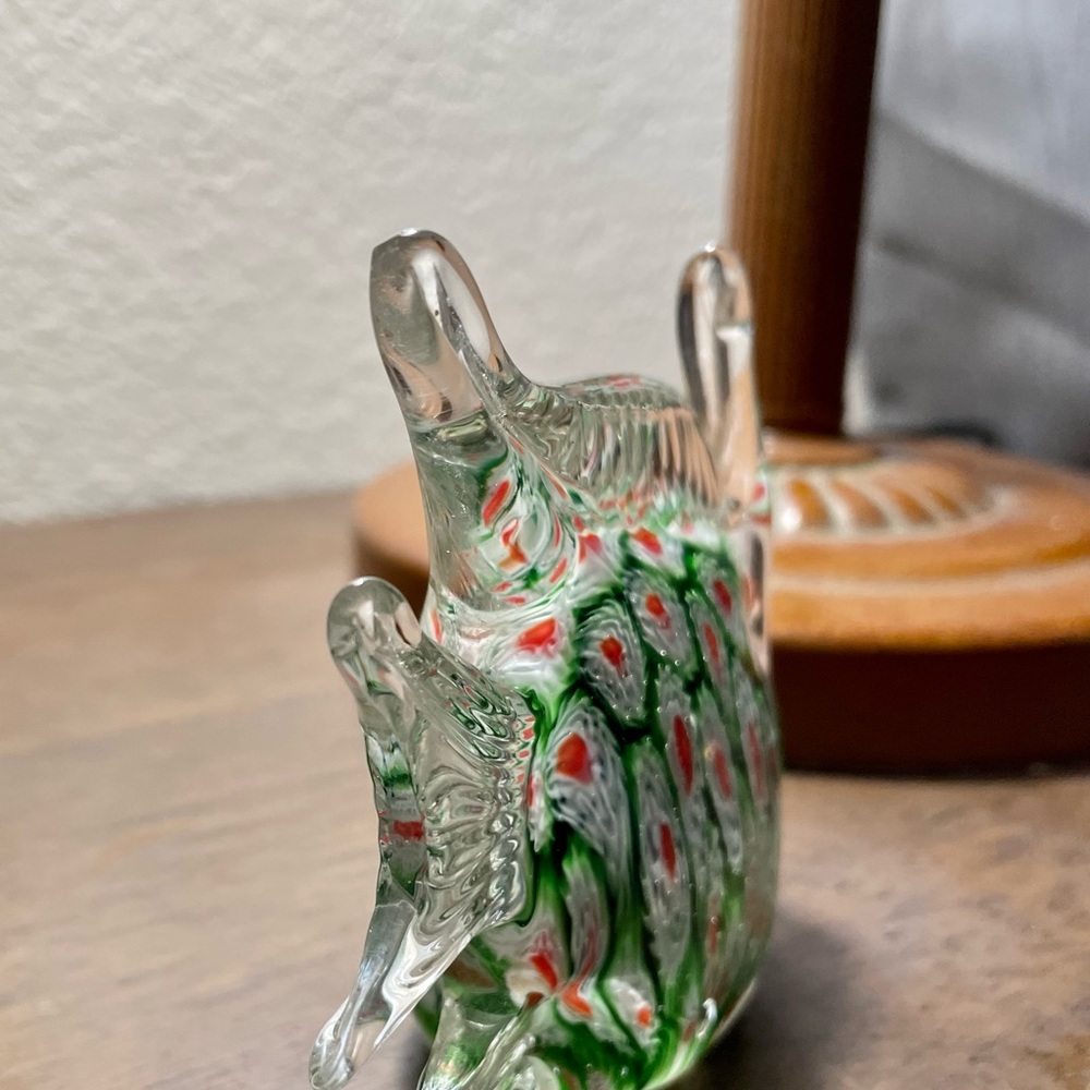 Glass Fish - Picture 6 of 7